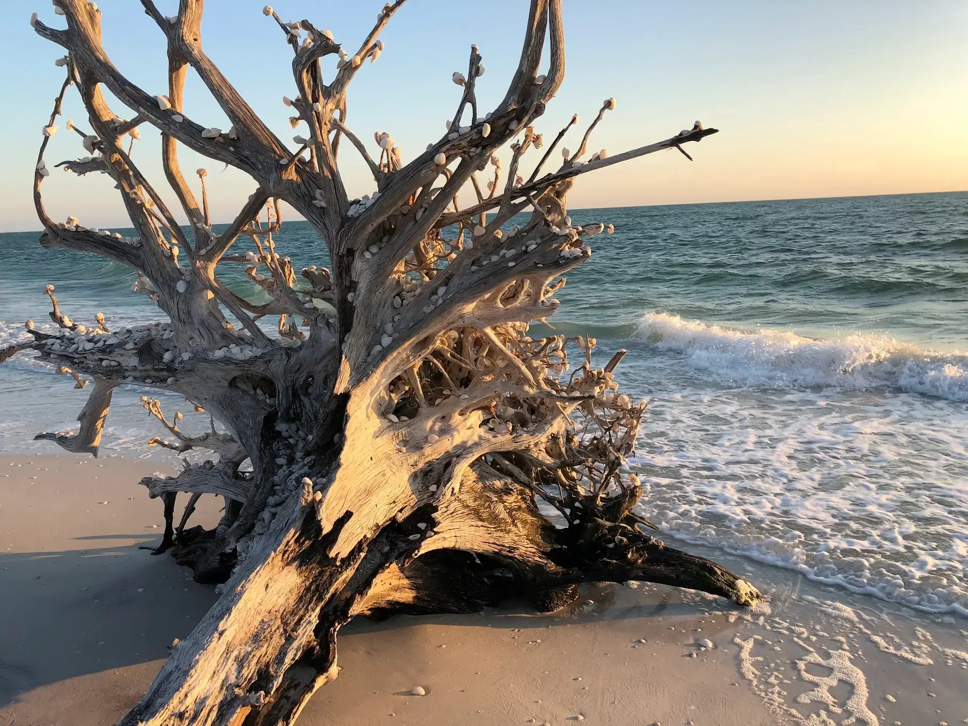 Beach across from Manatee Bay Inn