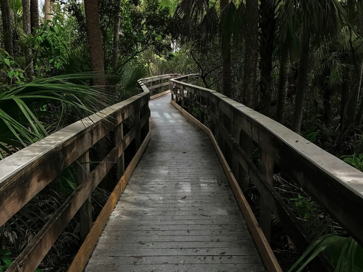 Six Mile Cypress Slough boardwalk